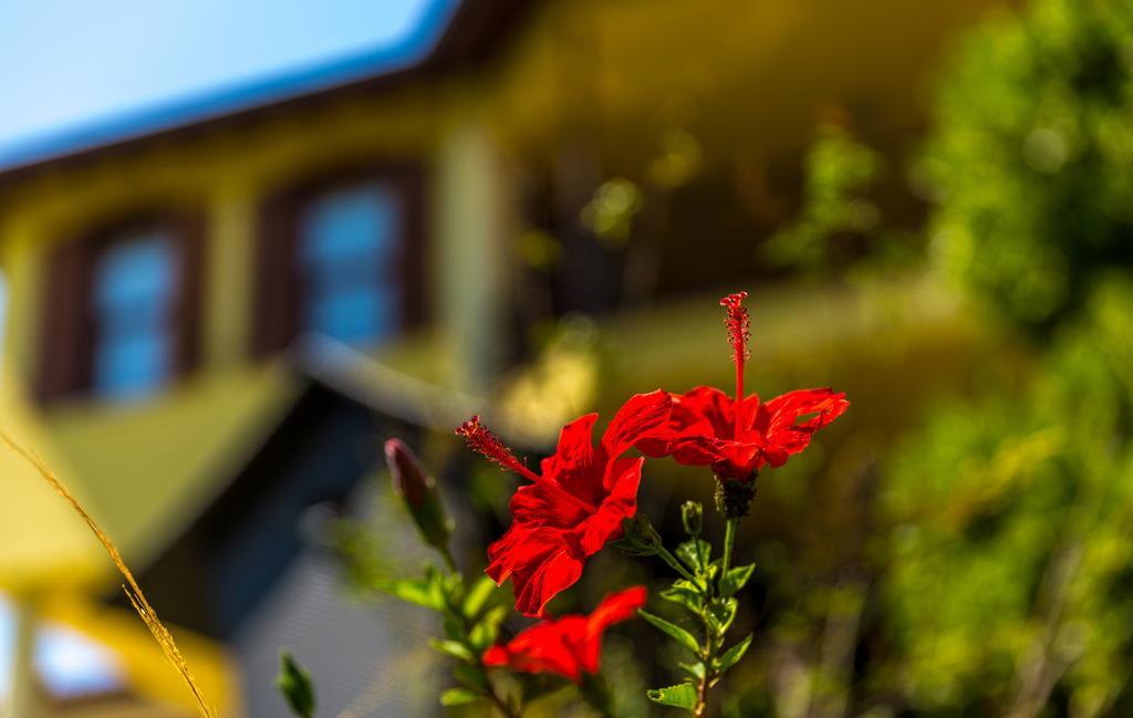 Marmaris Holiday Villas Zewnętrze zdjęcie